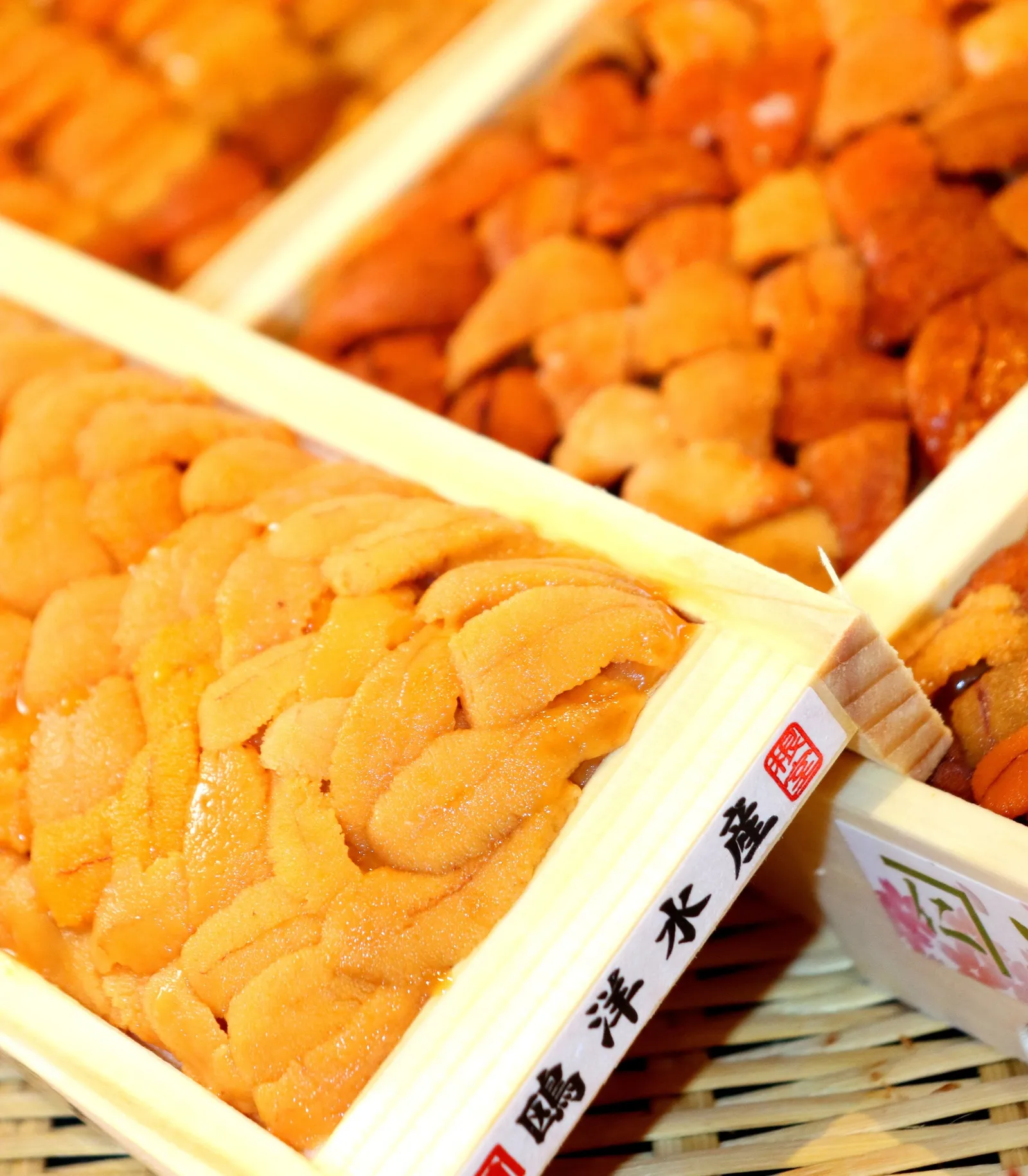 Fresh uni in wooden boxes from Japan